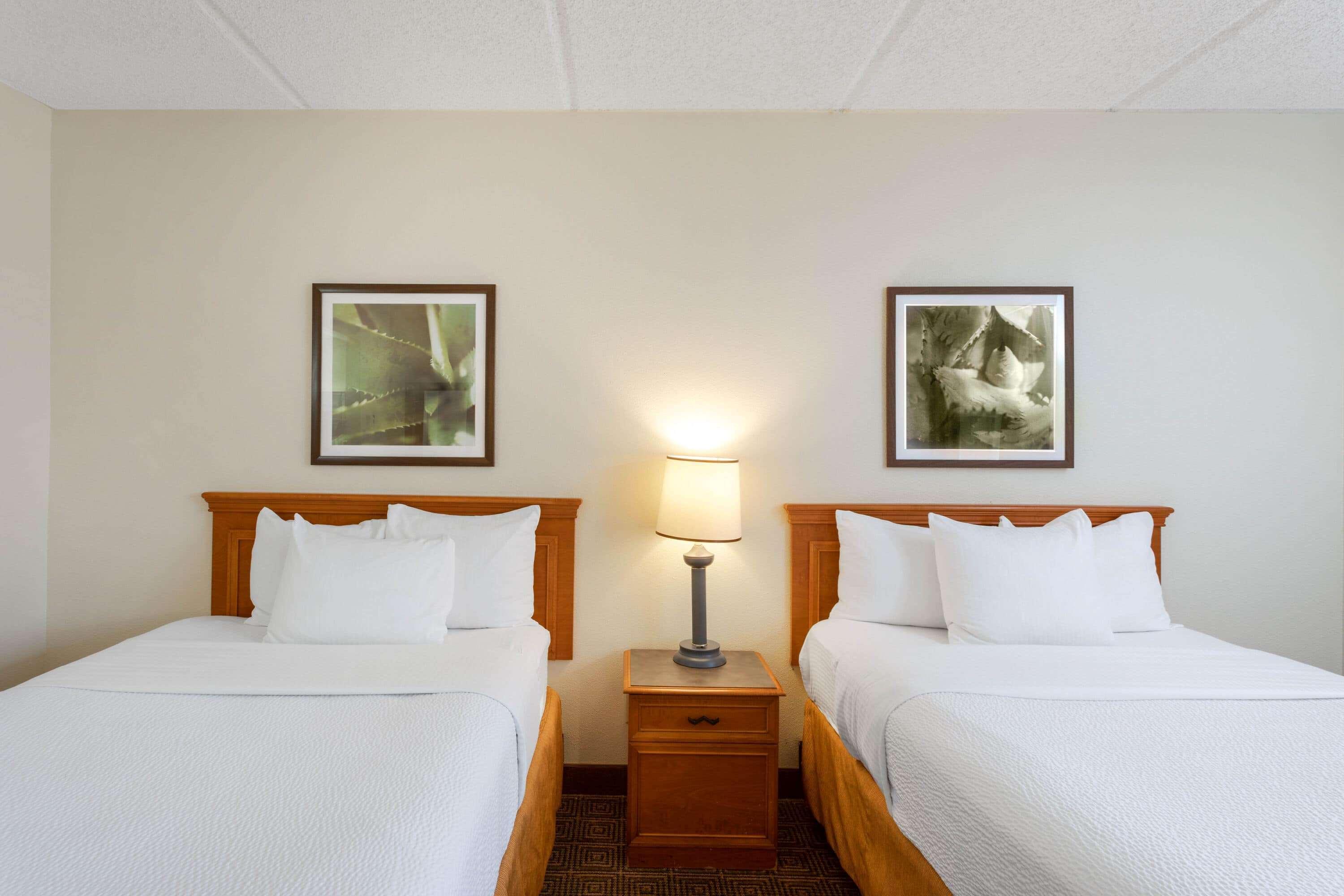 La Quinta Inn & Suites By Wyndham Jacksonville Mandarin Exterior foto